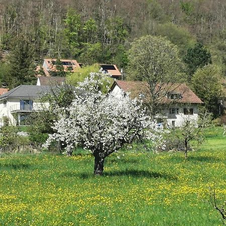 Vreni'S Gaestezimmer Himmelried Exterior foto