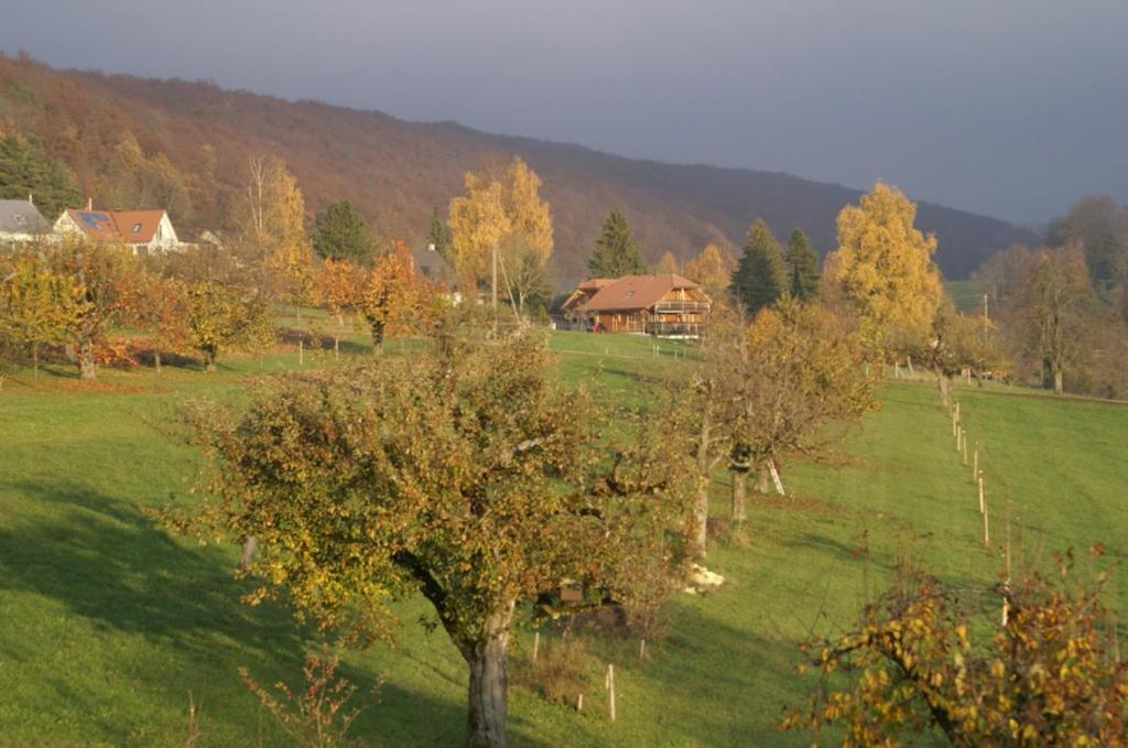 Vreni'S Gaestezimmer Himmelried Exterior foto